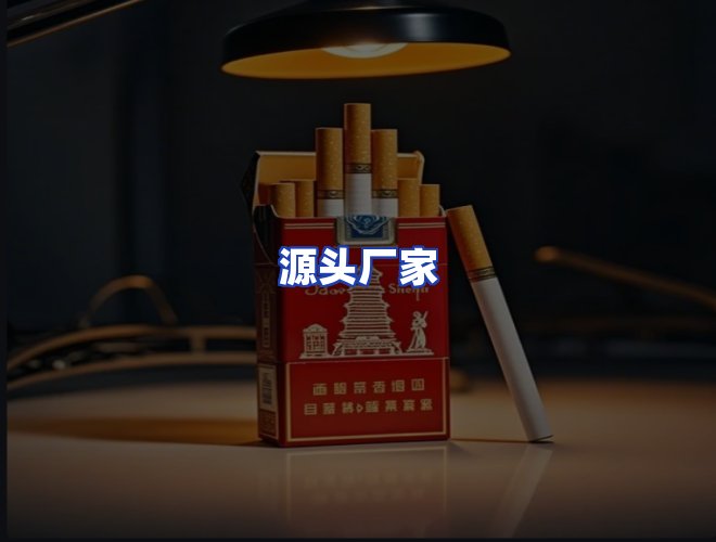专业团队